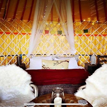 Traditional Yurt @ Longleat Warminster Exteriör bild